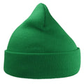 Green - Front - Atlantis Unisex Adult Wind Recycled Cuffed Beanie