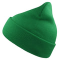 Green - Back - Atlantis Unisex Adult Wind Recycled Cuffed Beanie