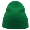 Green - Side - Atlantis Unisex Adult Wind Recycled Cuffed Beanie