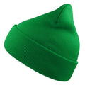 Lime - Front - Atlantis Unisex Adult Wind Recycled Cuffed Beanie