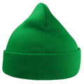 Lime - Back - Atlantis Unisex Adult Wind Recycled Cuffed Beanie