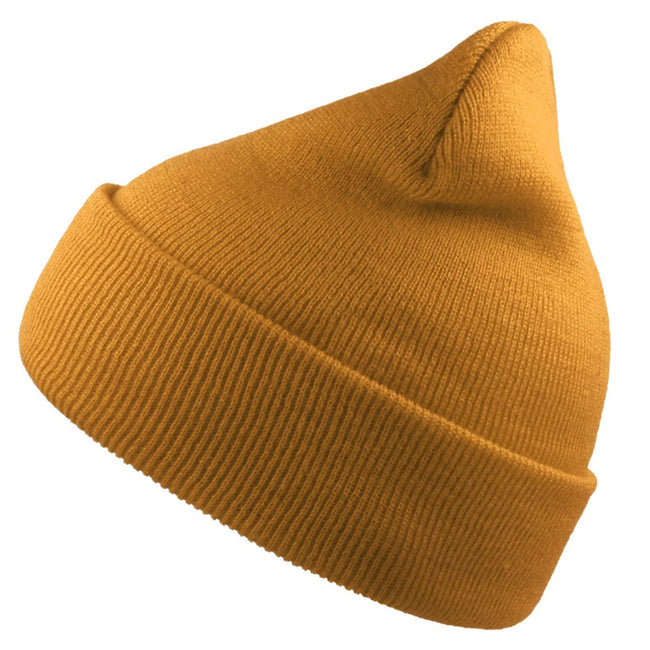 Moss - Front - Atlantis Unisex Adult Wind Recycled Cuffed Beanie