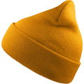 Mustard - Front - Atlantis Unisex Adult Wind Recycled Cuffed Beanie
