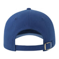 Royal Blue-White - Back - Atlantis Unisex Adult Liberty Sandwich 6 Panel Sustainable Cap