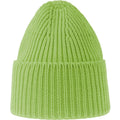 Acid Green - Back - Atlantis Unisex Adult Oak Chunky Knit Beanie