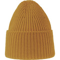 Mustard - Back - Atlantis Unisex Adult Oak Chunky Knit Beanie
