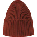 Rust - Back - Atlantis Unisex Adult Oak Chunky Knit Beanie