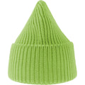 Acid Green - Side - Atlantis Unisex Adult Oak Chunky Knit Beanie