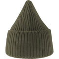 Olive - Side - Atlantis Unisex Adult Oak Chunky Knit Beanie
