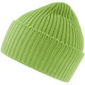 Acid Green - Front - Atlantis Unisex Adult Oak Chunky Knit Beanie