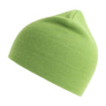 Acid Lime - Front - Atlantis Unisex Adult Holly Baseball Cap