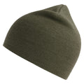 Olive - Front - Atlantis Unisex Adult Holly Baseball Cap