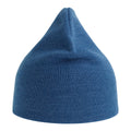 Royal Blue - Back - Atlantis Unisex Adult Holly Baseball Cap