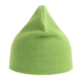 Acid Lime - Back - Atlantis Unisex Adult Holly Baseball Cap