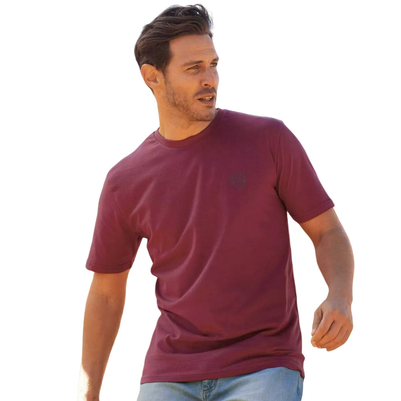 Burgundy-White-Black-Green - Pack Shot - Atlas For Men Mens Eagle T-Shirt (Pack of 4)