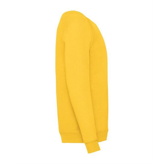 Sunflower - Side - Fruit Of The Loom Childrens Unisex Raglan Sleeve Sweatshirt