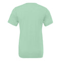 Mint Triblend - Back - Canvas Mens Triblend Crew Neck Plain Short Sleeve T-Shirt
