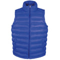 Royal - Front - Result Mens Ice Bird Padded Bodywarmer - Gilet Jacket