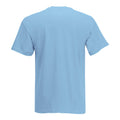 Light Blue - Back - Mens Value Short Sleeve Casual T-Shirt