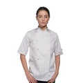 White - Back - Dennys Womens-Ladies Lightweight Short Sleeve Chefs Jacket - Chefswear (Pack of 2)
