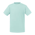 Aqua Blue - Front - Russell Childrens-Kids Organic Short-Sleeved T-Shirt