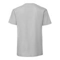 Zinc - Back - Fruit Of The Loom Mens Iconic Premium Ringspun Cotton T-Shirt