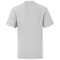 Heather Grey - Back - Fruit Of The Loom Childrens-Kids Iconic T-Shirt