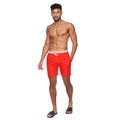 Red - Pack Shot - Crosshatch Mens Bandout Swim Shorts