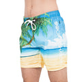 Blue - Front - Crosshatch Mens Dream Beach Swim Shorts
