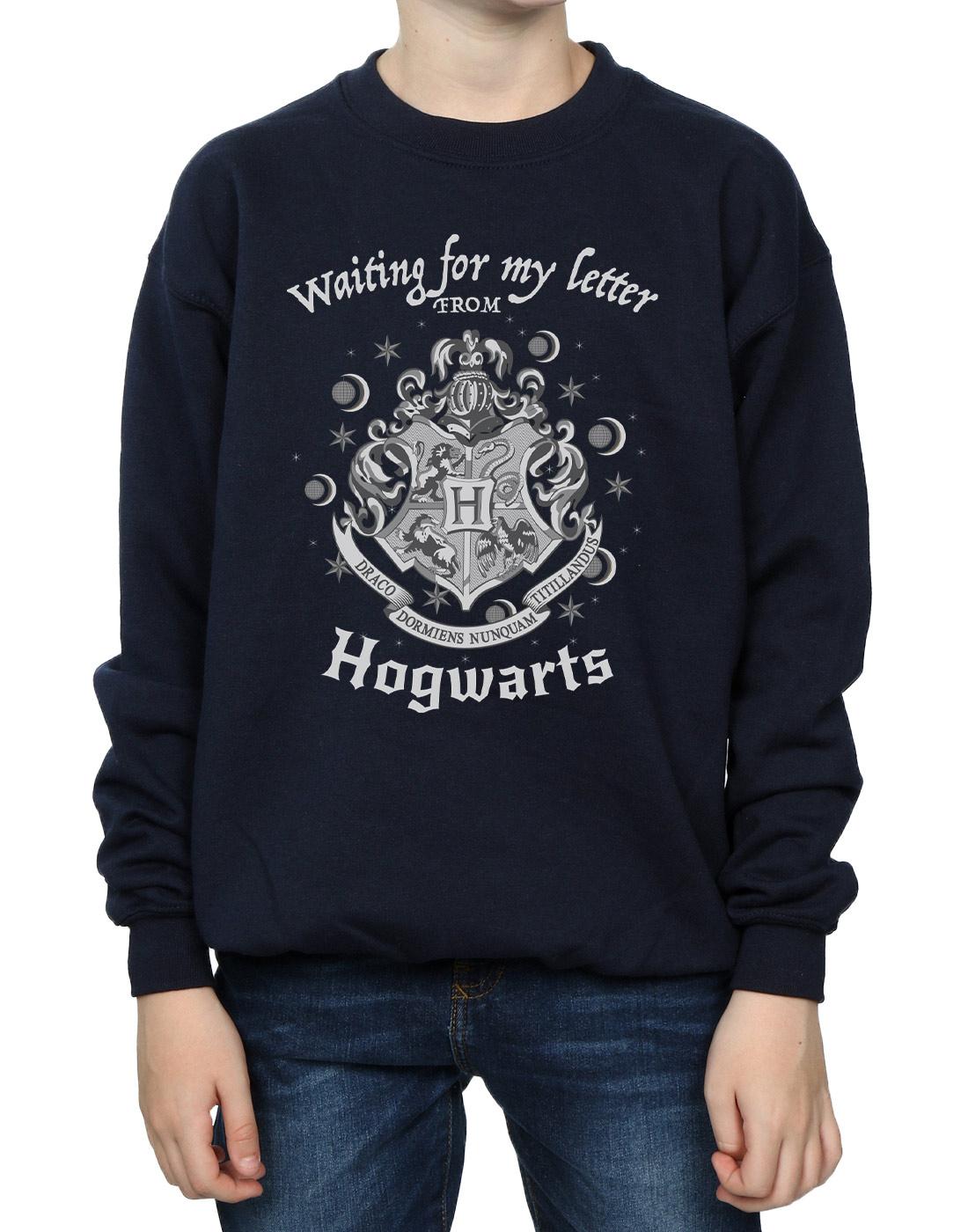 Navy Blue - Close up - Harry Potter Boys Hogwarts Waiting For My Letter Sweatshirt