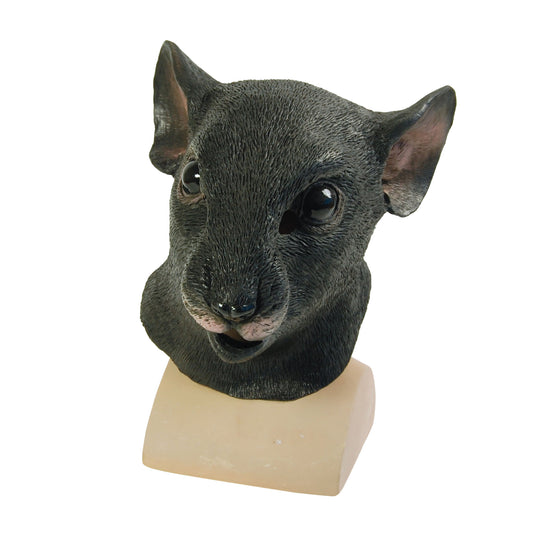 Black - Front - Bristol Novelty Unisex Adults Rat Mask
