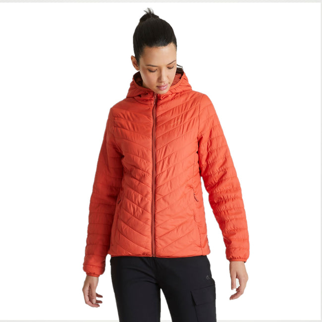 Ginger-Smoked Paprika - Back - Craghoppers Womens-Ladies Compresslite V Hooded Padded Jacket