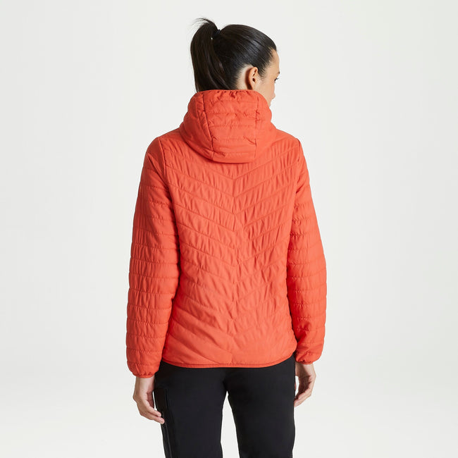 Ginger-Smoked Paprika - Side - Craghoppers Womens-Ladies Compresslite V Hooded Padded Jacket