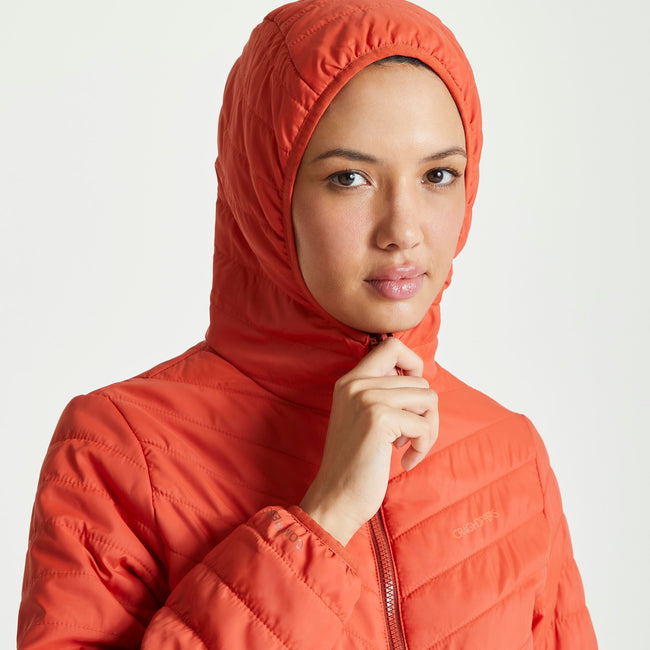 Ginger-Smoked Paprika - Lifestyle - Craghoppers Womens-Ladies Compresslite V Hooded Padded Jacket