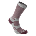 Grey Marl-Wild Berry - Front - Craghoppers Womens-Ladies Temperature Control Socks