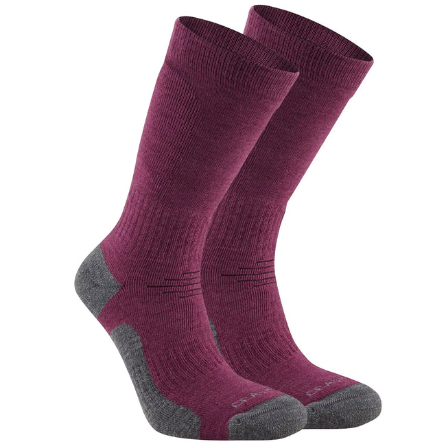 Wildberry Purple - Back - Craghoppers Unisex Adult Trek Merino Wool Socks