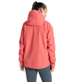 Deep Coral - Back - Craghoppers Womens-Ladies Ossus Waterproof Jacket