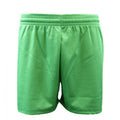 Green - Front - Carta Sport Unisex Adult Alpha Football Shorts