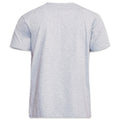 Grey - Back - Duke Mens D555 Flyers Crew Neck Kingsize T-Shirt