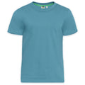 Teal - Front - Duke Mens D555 Flyers 2 Kingsize T-Shirt