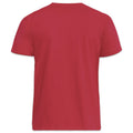 Red - Back - Duke Mens D555 Flyers 2 Kingsize T-Shirt