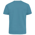 Teal - Back - Duke Mens D555 Signature Kingsize T-Shirt