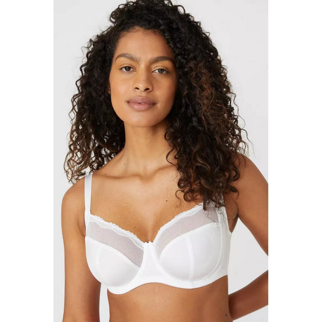 Navy-White - Pack Shot - Gorgeous Womens-Ladies Floral Bra (Pack of 2)