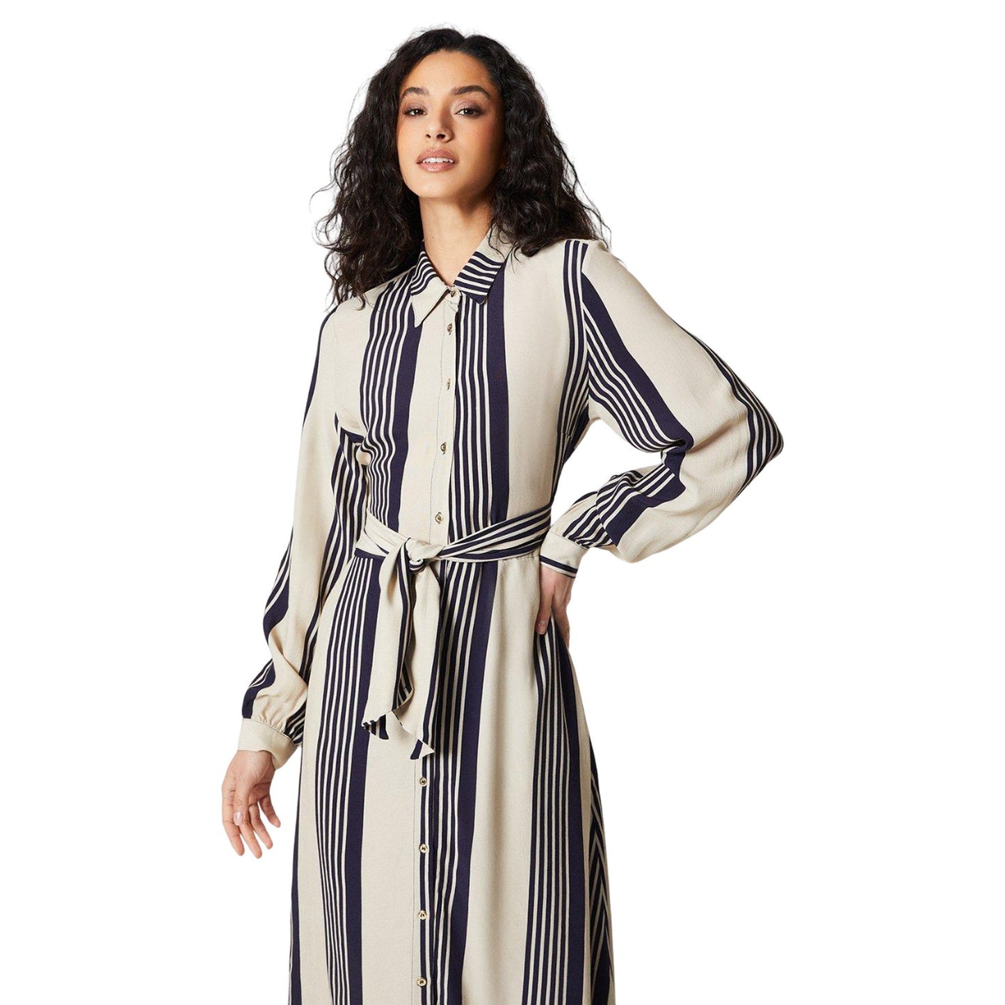 Navy - Side - Principles Womens-Ladies Striped Belt Midi Shirt Dress