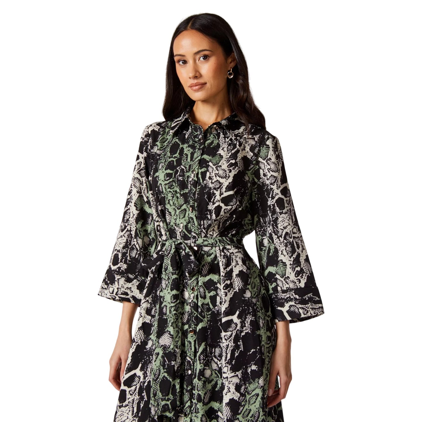 Green - Side - Principles Womens-Ladies Snake Print Shirt Dress