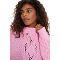 Pink - Side - Dorothy Perkins Womens-Ladies Cable Chunky Knit Crew Neck Jumper