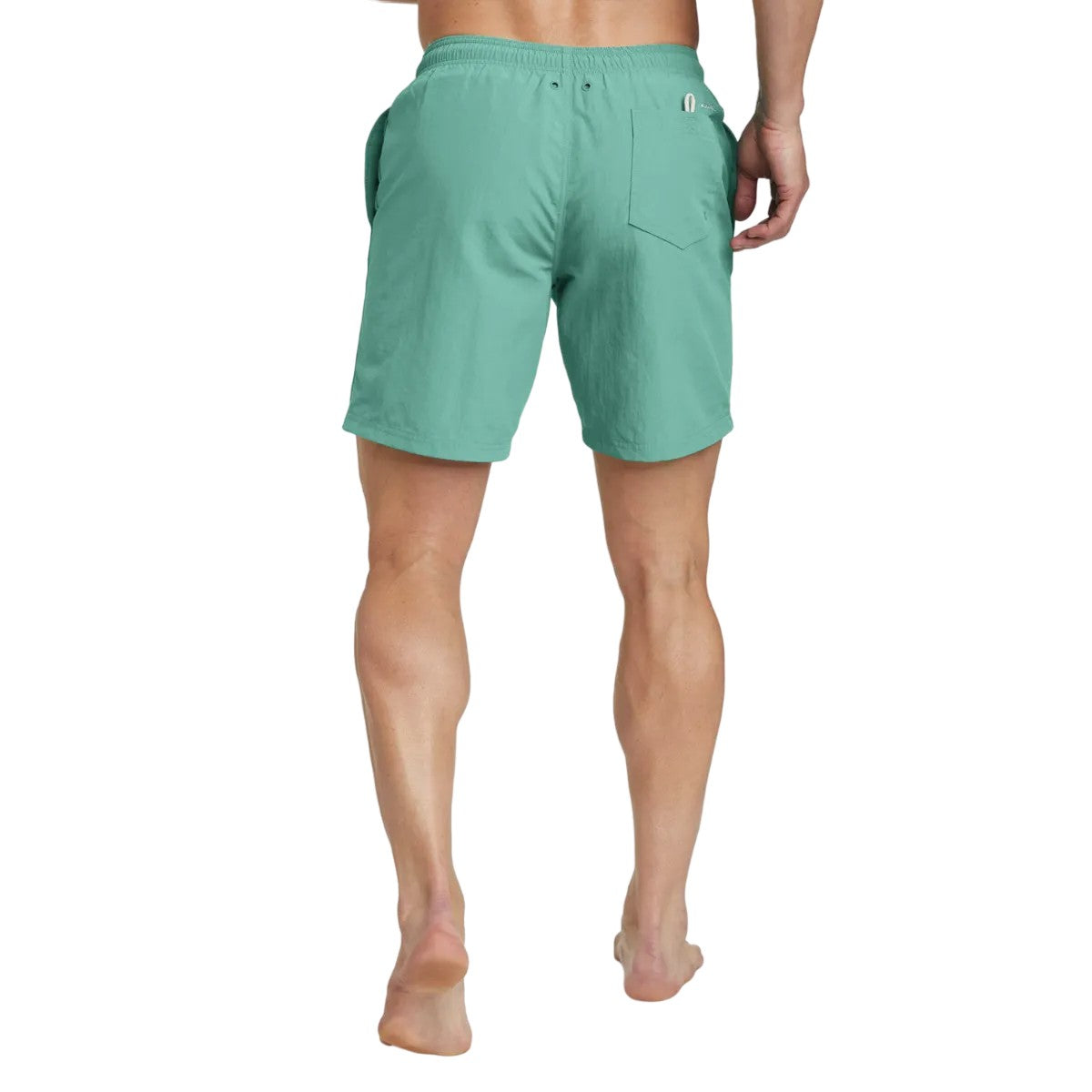 Seaglass - Back - Eddie Bauer Mens Tidal 2 Mesh Lined Swim Shorts
