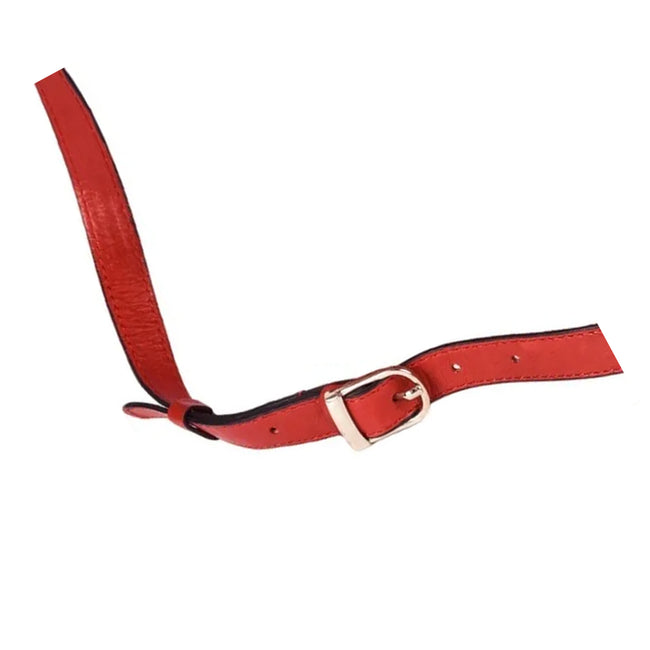Red - Back - Eastern Counties Leather Nicole Leather Handbag