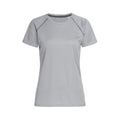 Silver Grey - Front - Stedman Womens-Ladies Active 140 Team Raglan T-Shirt