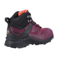 Burgundy - Side - Cotswold Womens-Ladies Horton Walking Boots